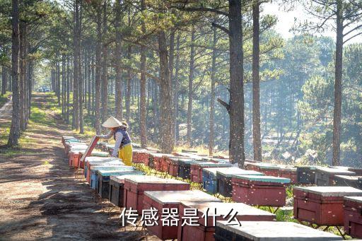 浙江自動化光幕公司,什么是光幕傳感器?