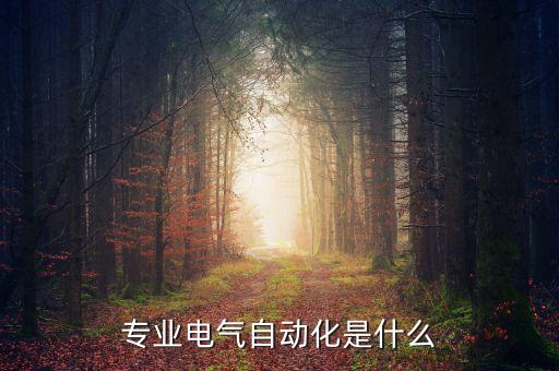 專科生考研電氣自動(dòng)化,電氣自動(dòng)化專業(yè)大學(xué)生簡(jiǎn)歷模板