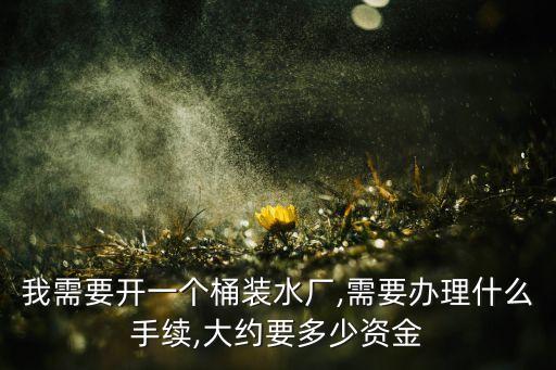 我需要開一個桶裝水廠,需要辦理什么手續(xù),大約要多少資金