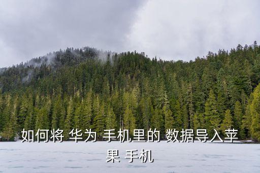 如何將 華為 手機(jī)里的 數(shù)據(jù)導(dǎo)入蘋果 手機(jī)
