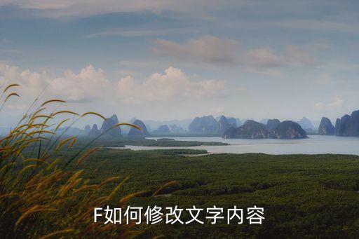 F如何修改文字內容