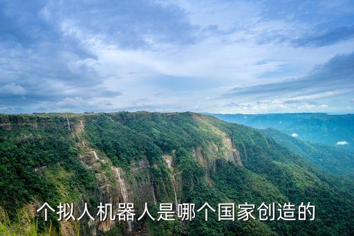 創(chuàng)造機(jī)器人案例,社交機(jī)器人案例