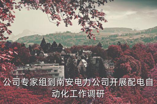 縣公司配電自動化現(xiàn)狀分析,配電自動化建設(shè)應(yīng)用現(xiàn)狀