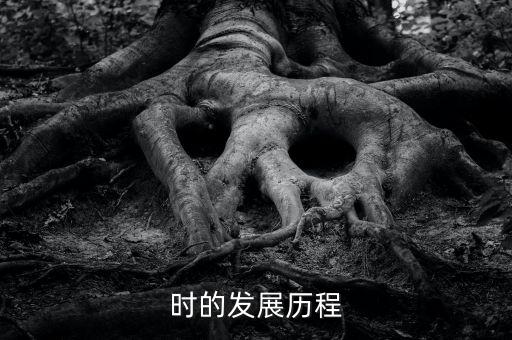 時的發(fā)展歷程