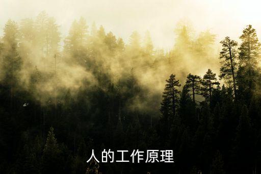 大狗機器人工作原理,機器人的工作原理
