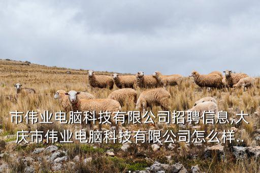 市偉業(yè)電腦科技有限公司招聘信息,大慶市偉業(yè)電腦科技有限公司怎么樣...
