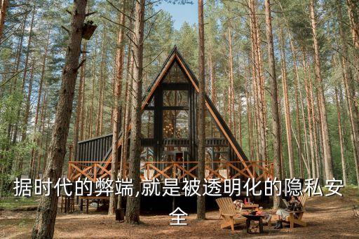 大數(shù)據(jù)時代的缺點,關(guān)于大數(shù)據(jù)時代