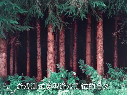 手游測(cè)試網(wǎng)絡(luò)關(guān)注哪些數(shù)據(jù),手機(jī)網(wǎng)絡(luò)游戲測(cè)試時(shí)間表