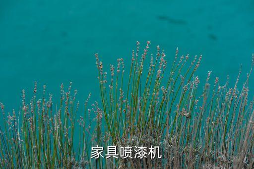 新式自動(dòng)化噴涂設(shè)備定做,巨型自動(dòng)噴涂設(shè)備哪些能噴涂?