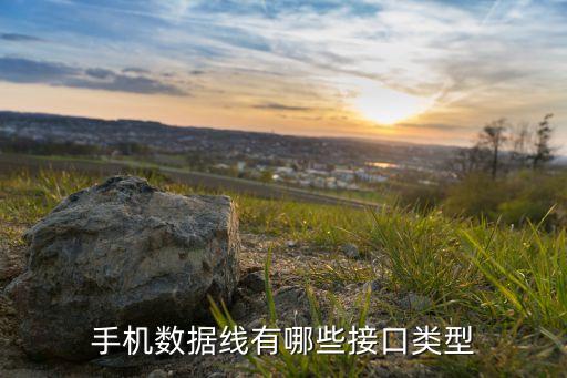 手機數(shù)據(jù)線有哪些接口類型
