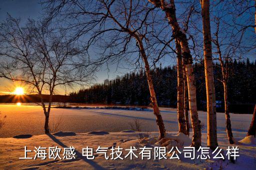  上海歐感 電氣技術(shù)有限公司怎么樣