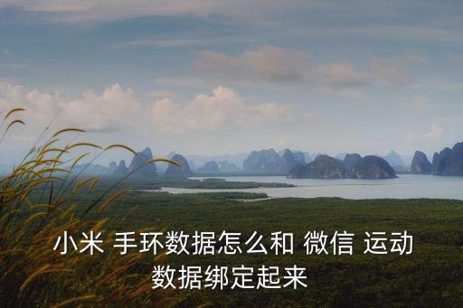  小米 手環(huán)數(shù)據(jù)怎么和 微信 運(yùn)動(dòng)數(shù)據(jù)綁定起來(lái)