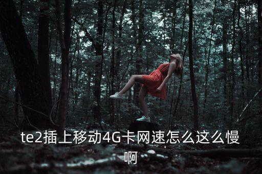 te2插上移動4G卡網速怎么這么慢啊