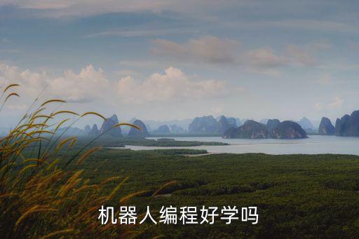 機器人編程好學(xué)嗎