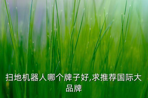 掃地機(jī)器人哪個牌子好,求推薦國際大品牌