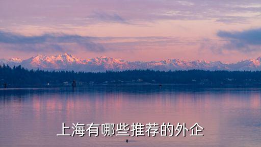 恩德豪斯自動(dòng)化有限公司,江蘇恩德豪斯儀表有限公司