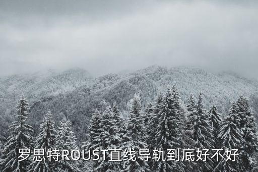 蘇州羅思特自動化有限公司,羅斯特自動化技術(shù)有限公司