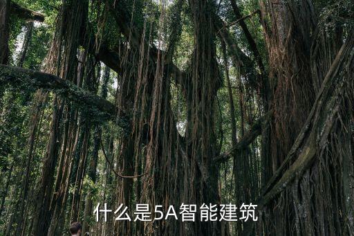 什么是5A智能建筑