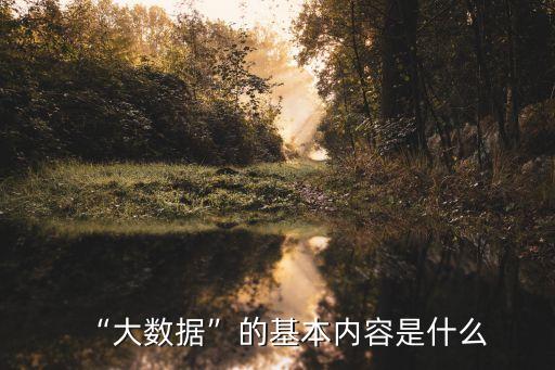 貴陽大數(shù)據(jù)開放,貴州開放大學(xué)