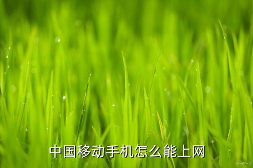 移動國內(nèi)數(shù)據(jù)接入口,若您流量使用較多可開通移動數(shù)據(jù)套餐