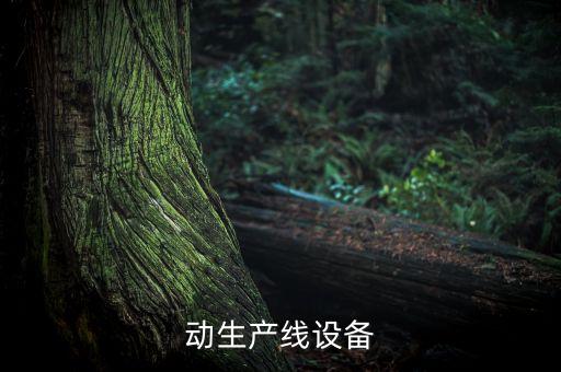 動(dòng)生產(chǎn)線設(shè)備