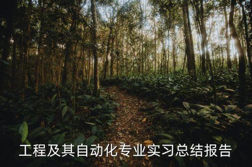 自動化控制設備年度總結(jié),反應堆自動化控制設備