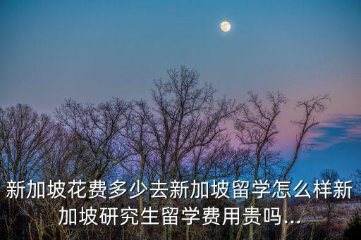 新加坡花費多少去新加坡留學怎么樣新加坡研究生留學費用貴嗎...
