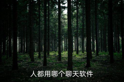 人都用哪個(gè)聊天軟件