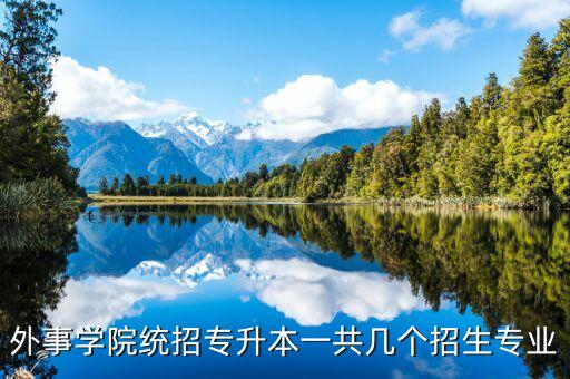 外事學院統(tǒng)招專升本一共幾個招生專業(yè)