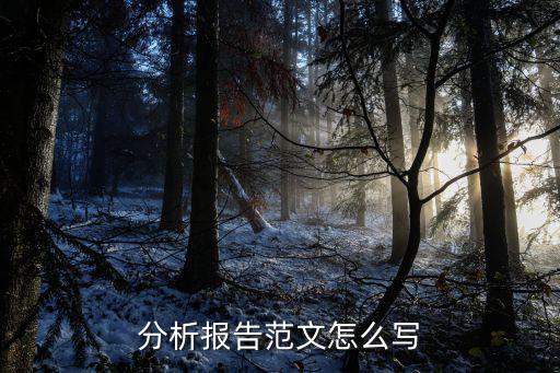 分析報(bào)告范文怎么寫