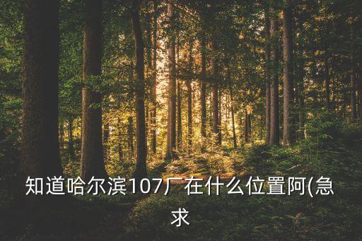 宜春自動化料塔設備廠家,自動料塔安裝流程