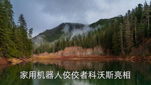 全球 服務(wù)機(jī)器人 數(shù)量,服務(wù)機(jī)器人占領(lǐng)全球市場