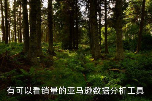 有可以看銷量的亞馬遜數(shù)據(jù)分析工具