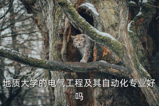 地質(zhì)大學的電氣工程及其自動化專業(yè)好嗎