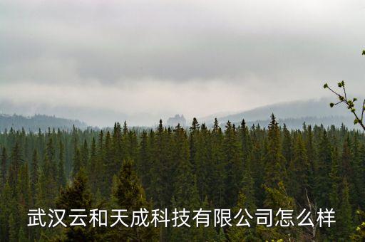 武漢云和天成科技有限公司怎么樣