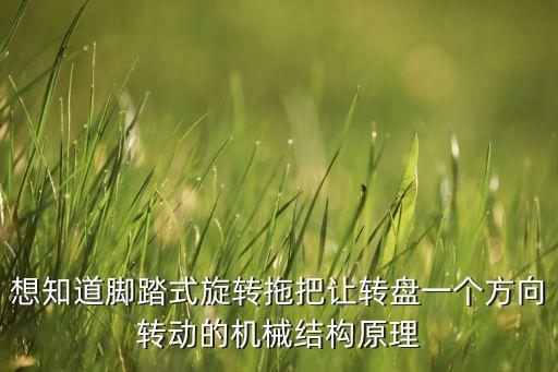拖把自動(dòng)化設(shè)備,拖把十大品牌揭曉
