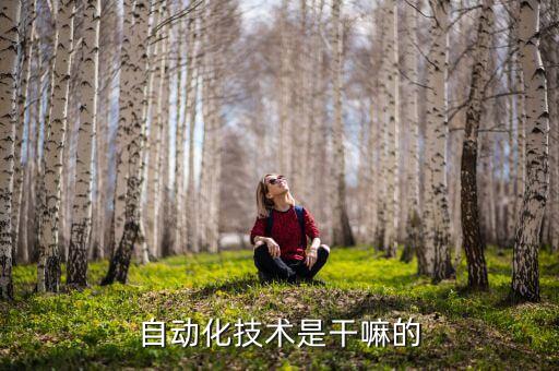 自動化技術(shù)是干嘛的