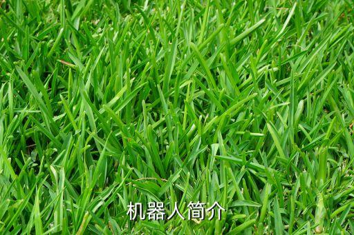 機器人簡介