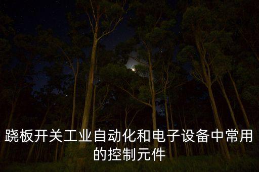 蹺板開關(guān)工業(yè)自動(dòng)化和電子設(shè)備中常用的控制元件