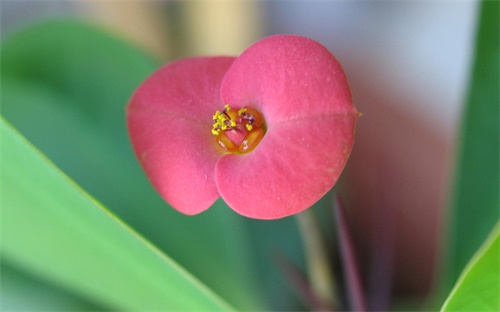 自動(dòng)化網(wǎng)，自動(dòng)化英才網(wǎng)有沒(méi)有免費(fèi)體驗(yàn)版