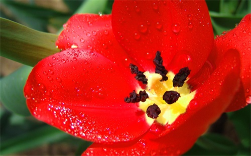 人工智能實(shí)驗(yàn)室簡介范文，人工智能實(shí)驗(yàn)室有哪些