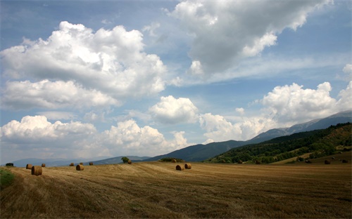 鐘南山關(guān)于科技的名言，廣東廣州哪個(gè)在非典時(shí)間解決非典的著名科學(xué)家