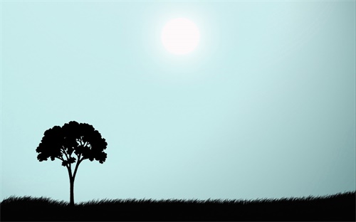 自動(dòng)對(duì)焦監(jiān)控?cái)z像頭,監(jiān)控打開自動(dòng)對(duì)焦功能時(shí)應(yīng)關(guān)閉攝像頭選項(xiàng)