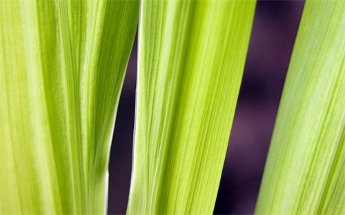 人工智能評價函數(shù)是什么，人工智能 適應(yīng)度函數(shù)