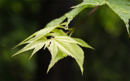 肥城一滕智能科技是什么，聽朋友提到訴訴它是一個(gè)什么樣的公司呢