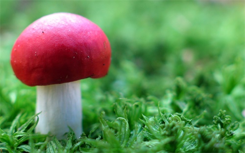 富納智能科技怎么樣，上海富友旗下富掌柜的智能POS機怎么樣啊有誰用過嗎